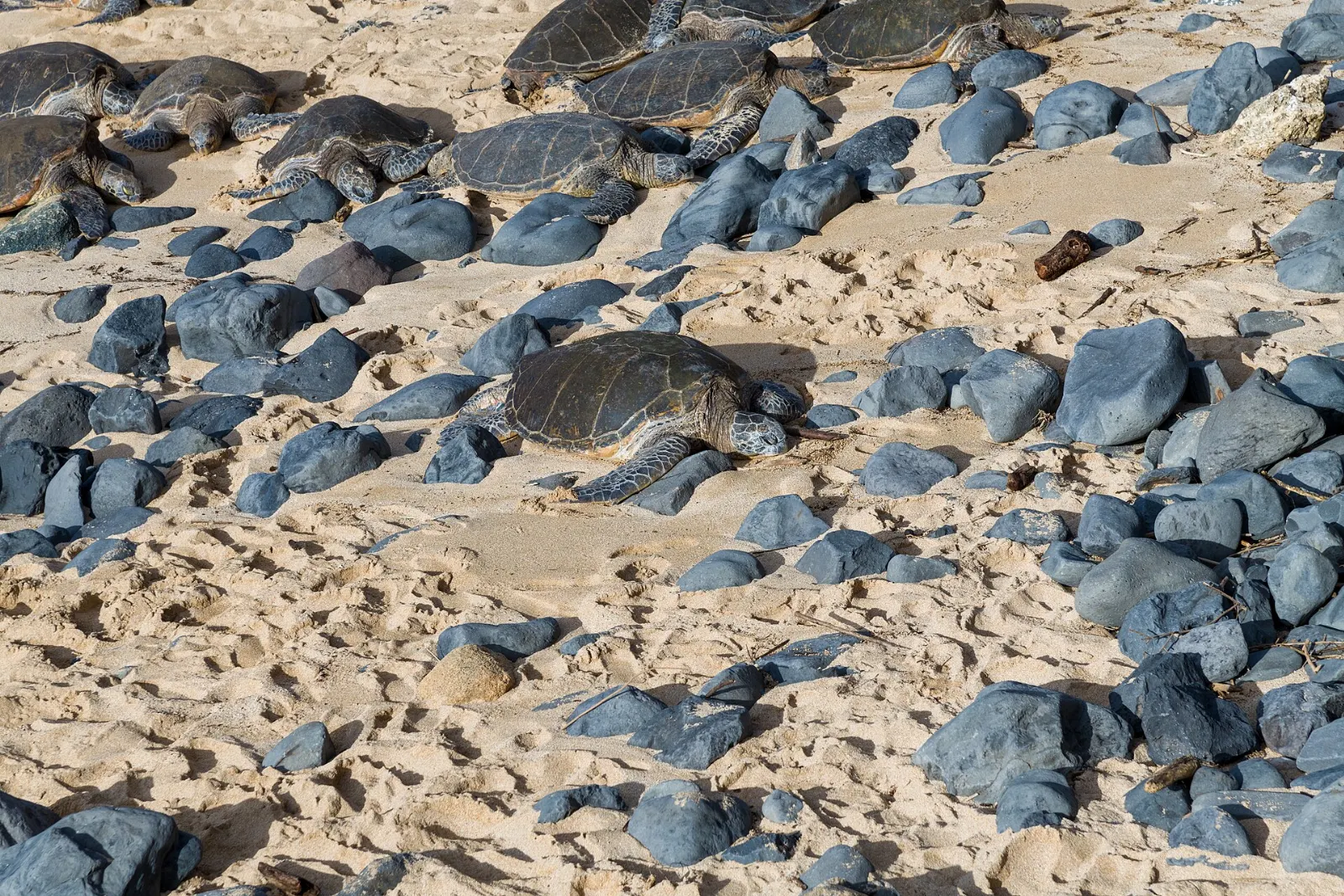 Paia and Hookipa Beach Park, Maui, Hawaii, United States