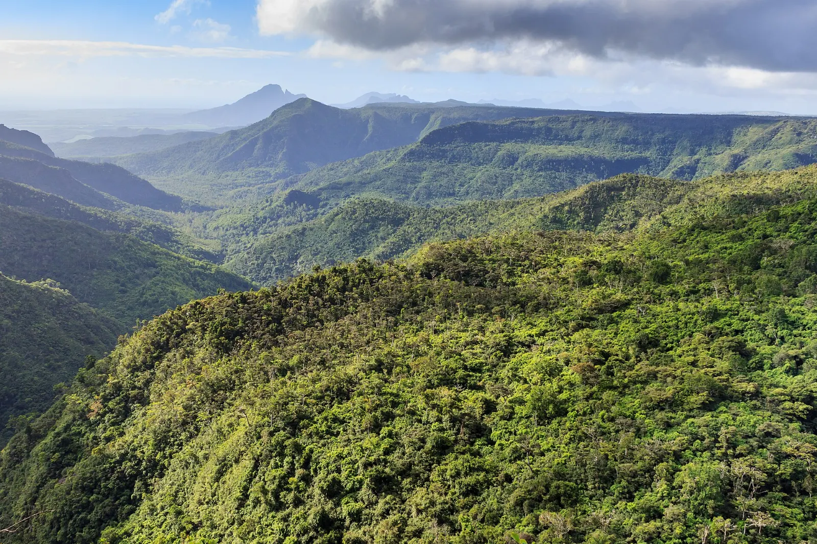 Black River Gorges National Park, Mauritius, Mauritius