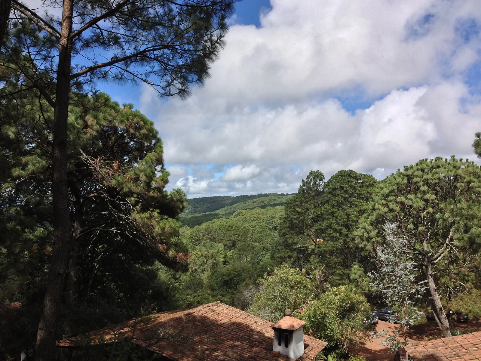 Pine forest trail in the Sierra del Tigre near Mazamitla, Jalisco