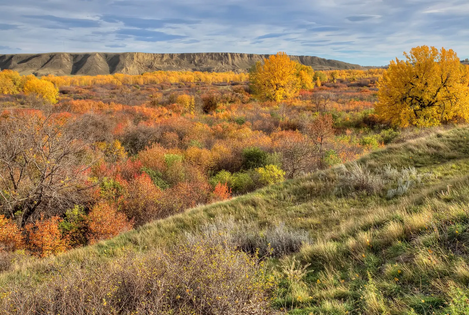 Walking paths beside the river in Police Point Park, Medicine Hat, Alberta
