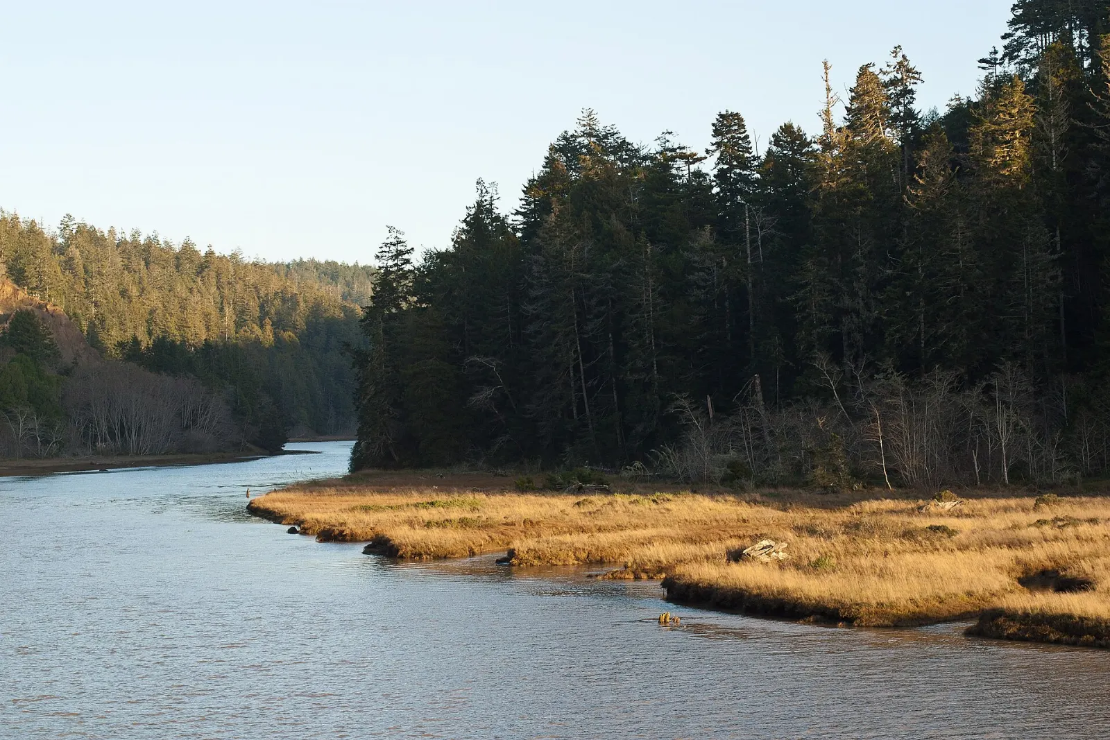 A calm tidal river lined with forested hills near Mendocino, California