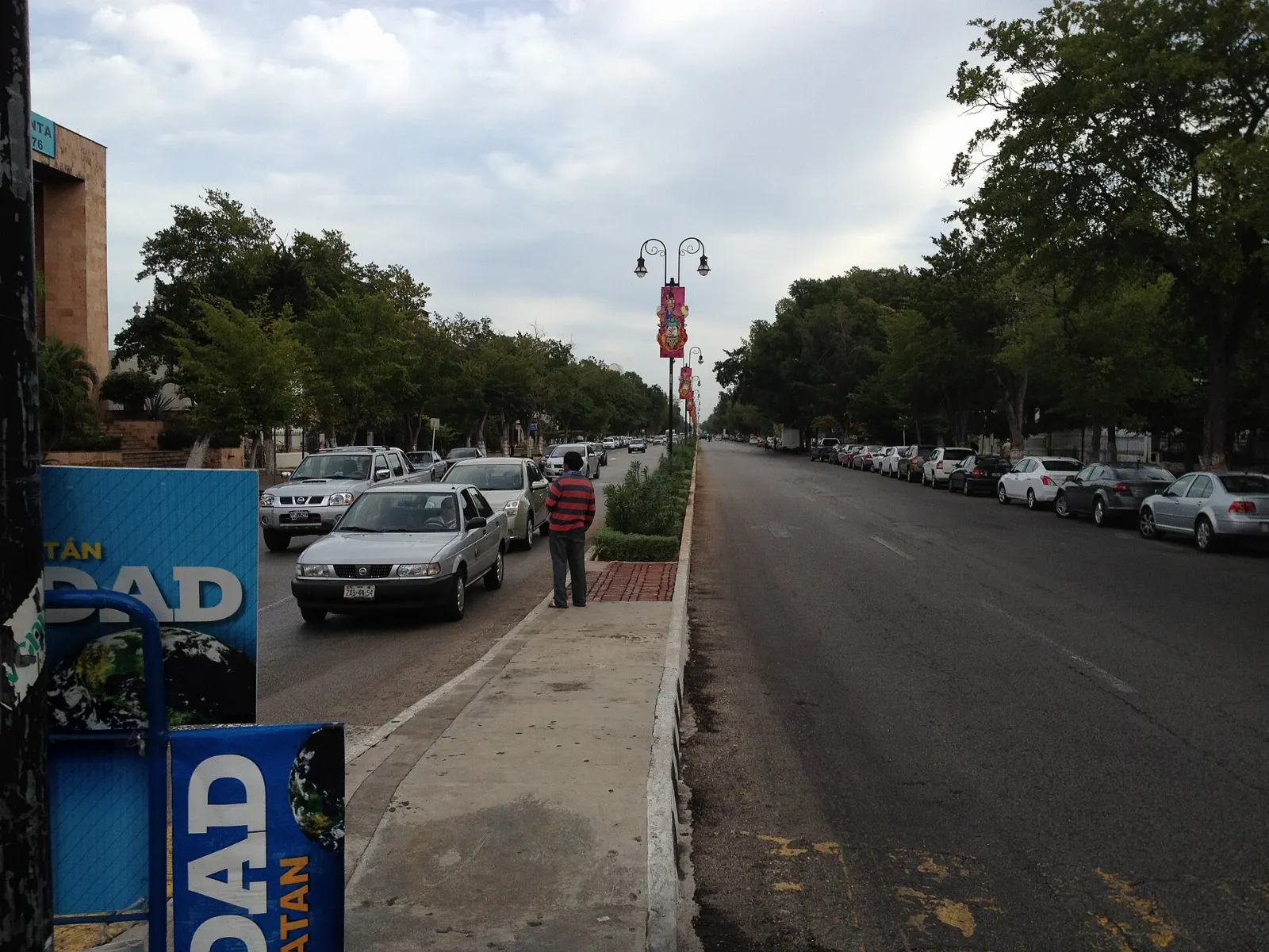 Tree-lined Paseo de Montejo avenue with historic mansions in Mérida, Yucatán
