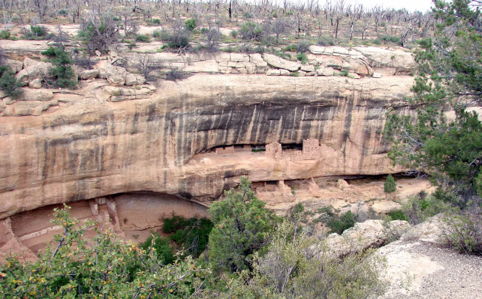 Wide view across mesas and distant mountains from the Park Point overlook, Mesa Verde National Park, Colorado