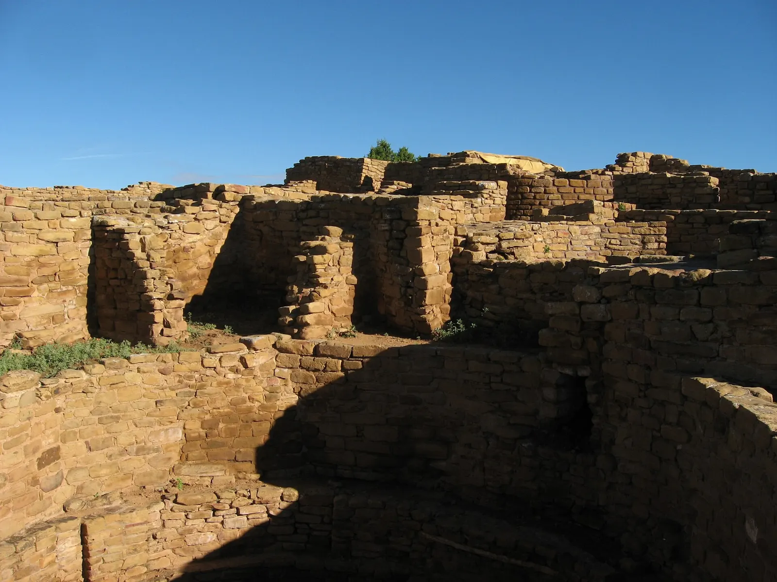 Low stone walls and circular kivas of a mesa-top village at Far View, Mesa Verde National Park, Colorado