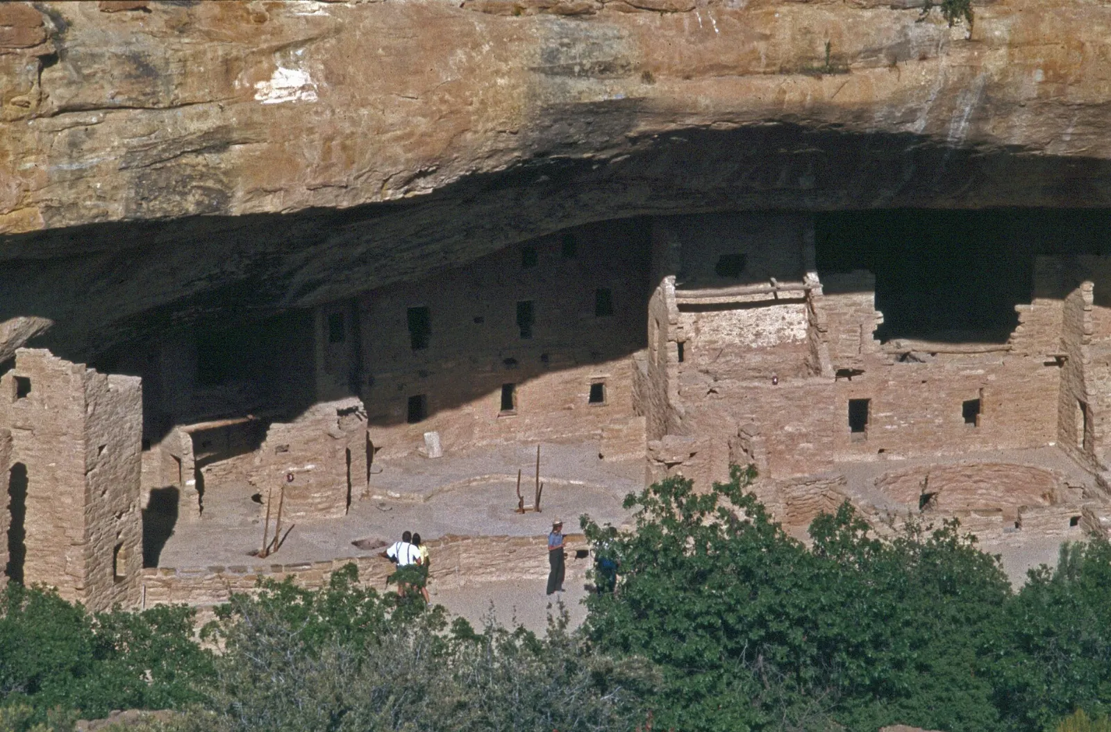 Spruce Tree House cliff dwelling seen from above in a shaded canyon alcove, Mesa Verde National Park, Colorado