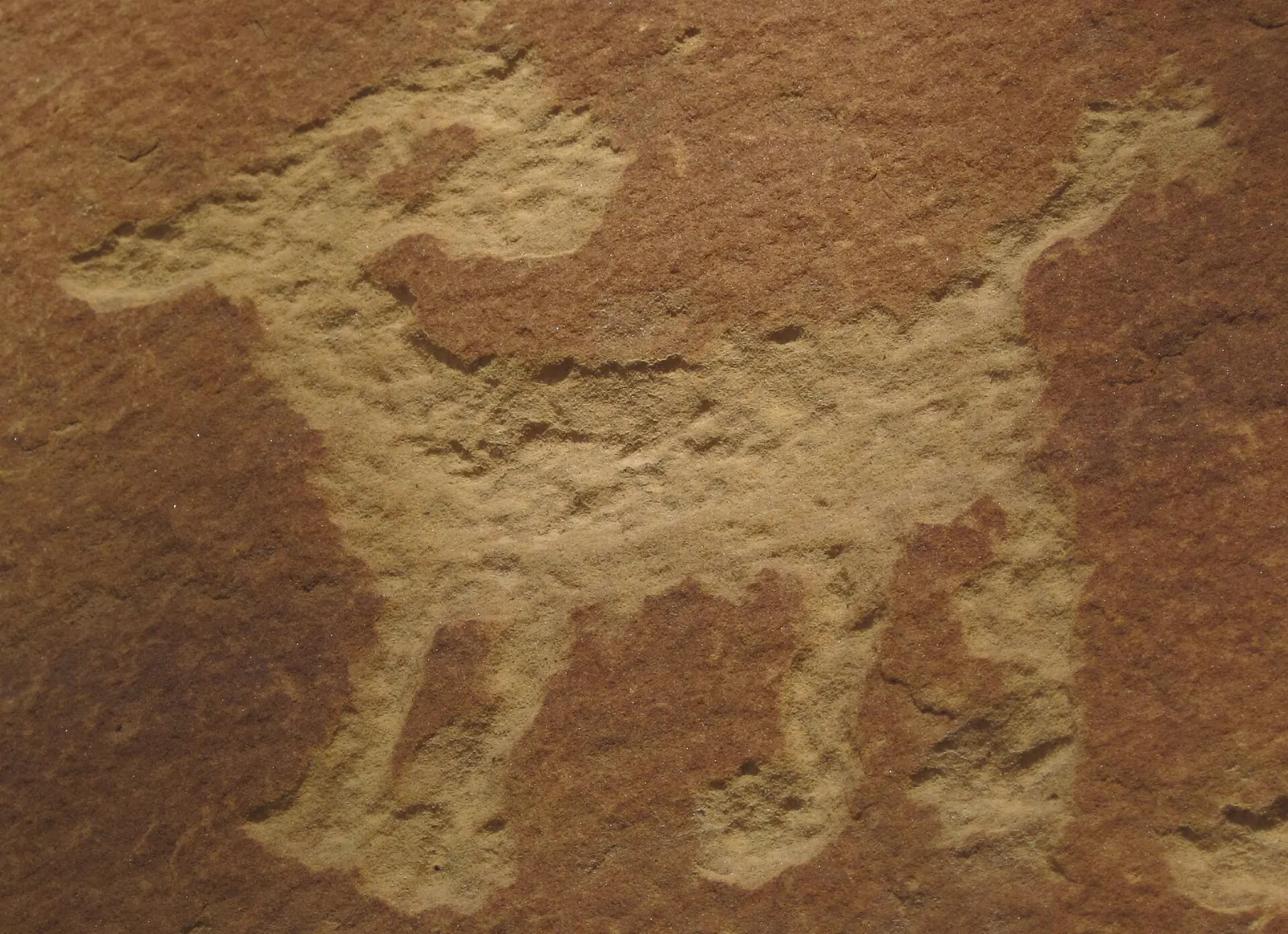 Ancestral Pueblo petroglyphs carved into a sandstone panel, Mesa Verde National Park, Colorado