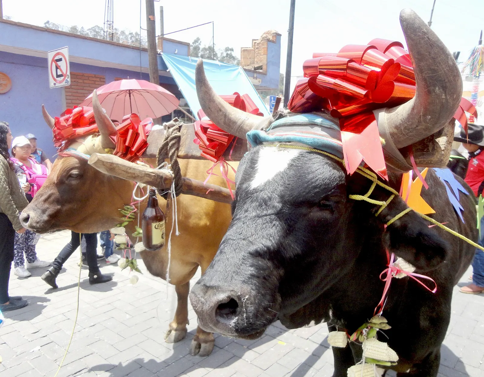 Crowd at a cultural festival in Metepec, State of Mexico