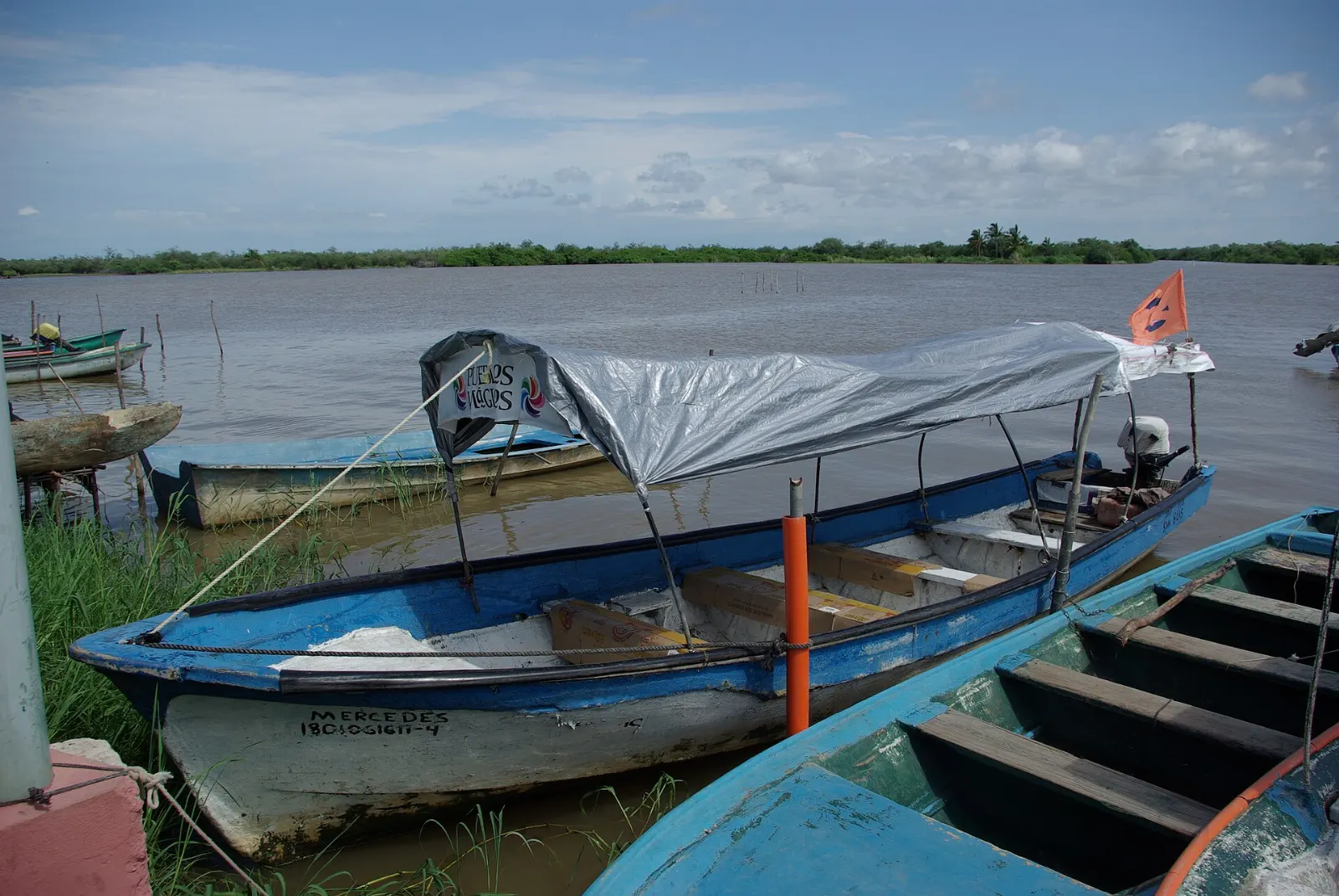 Mexcaltitán Mexico Island Village Mangroves and Shrimp