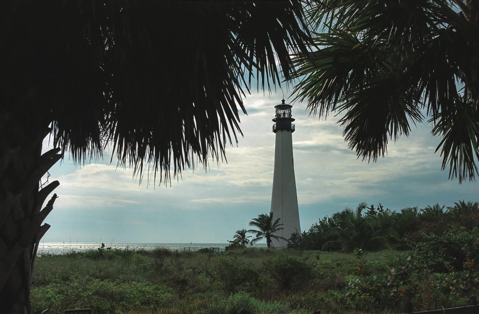 White brick lighthouse among palms at the tip of Key Biscayne, Miami, Florida