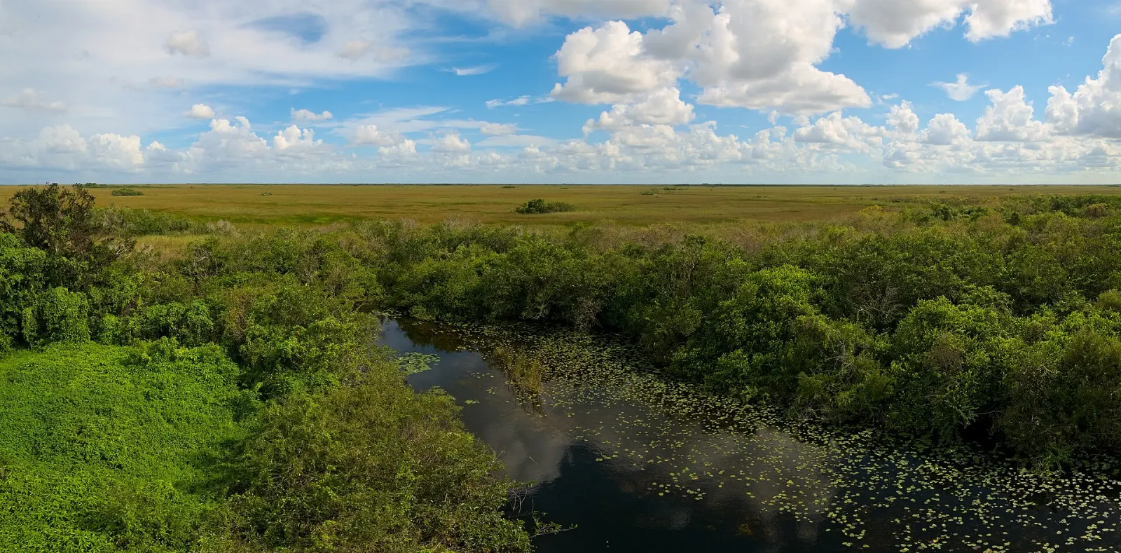 Concrete observation tower above sawgrass prairie in the Everglades, Miami, Florida