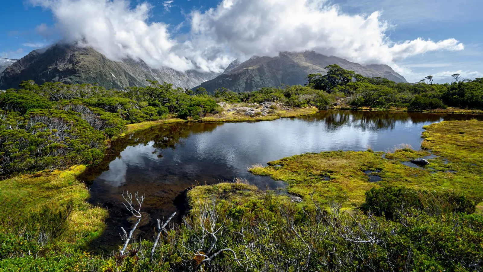 Key Summit from The Divide, Milford Sound, New Zealand