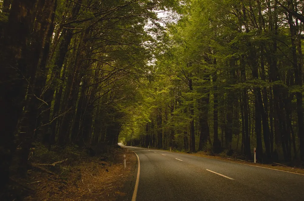 Milford Road, Milford Sound, New Zealand