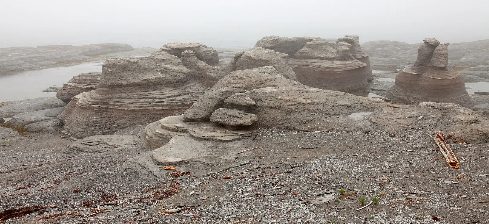 Mingan Archipelago Quebec Puffins and Limestone Monoliths