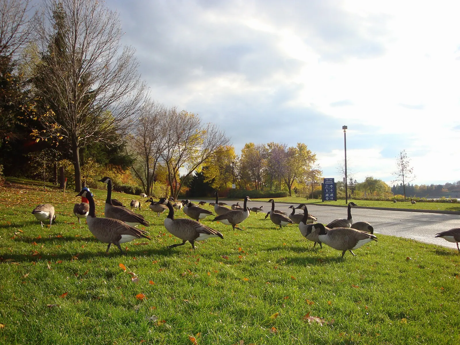 Lakefront Promenade Park, Mississauga, Ontario