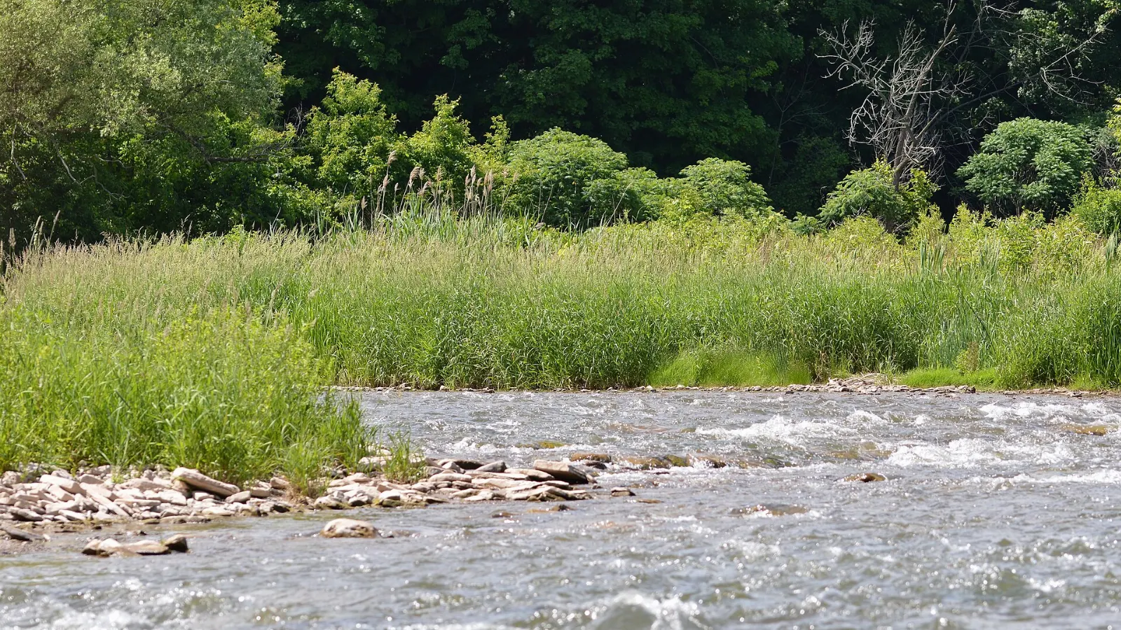 Credit River valley trail, Mississauga, Ontario
