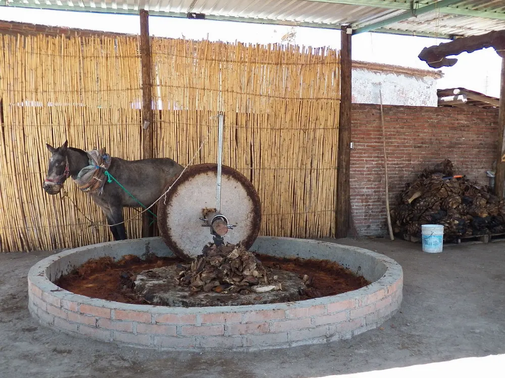 Mezcal in Mitla, Oaxaca