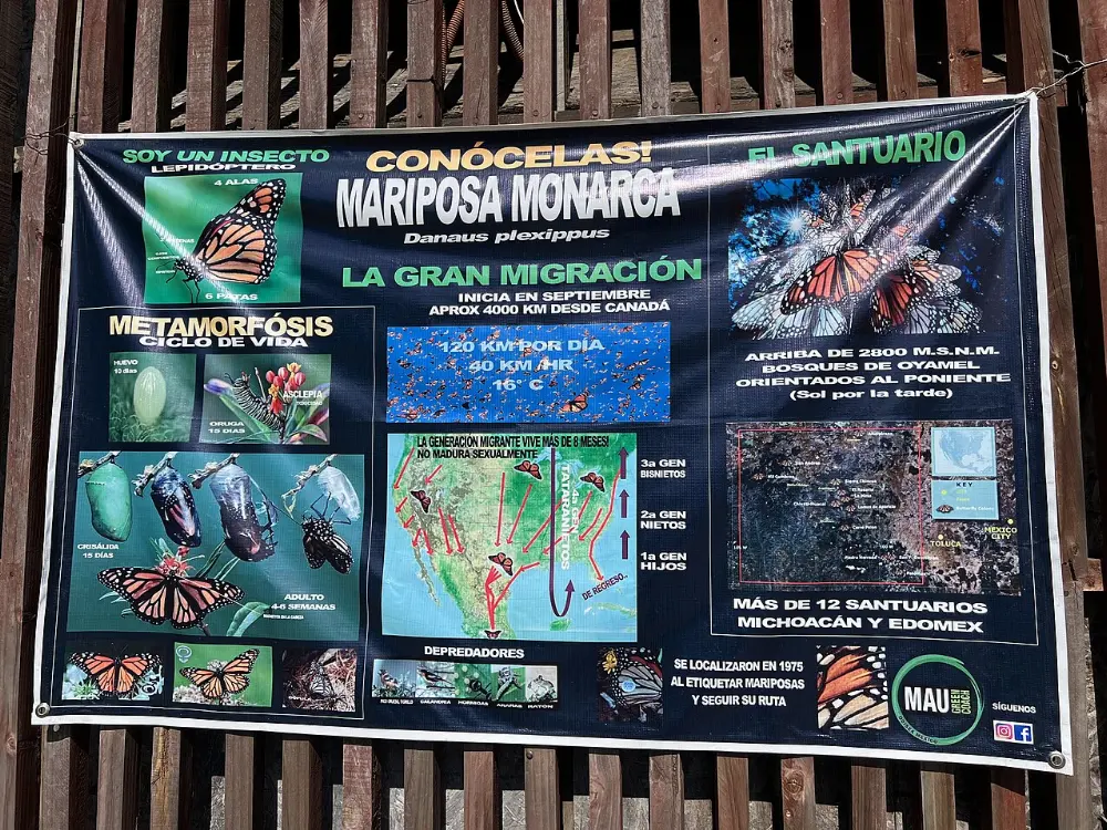 Valle de Bravo, Monarch Butterfly Biosphere Reserve, Michoacán