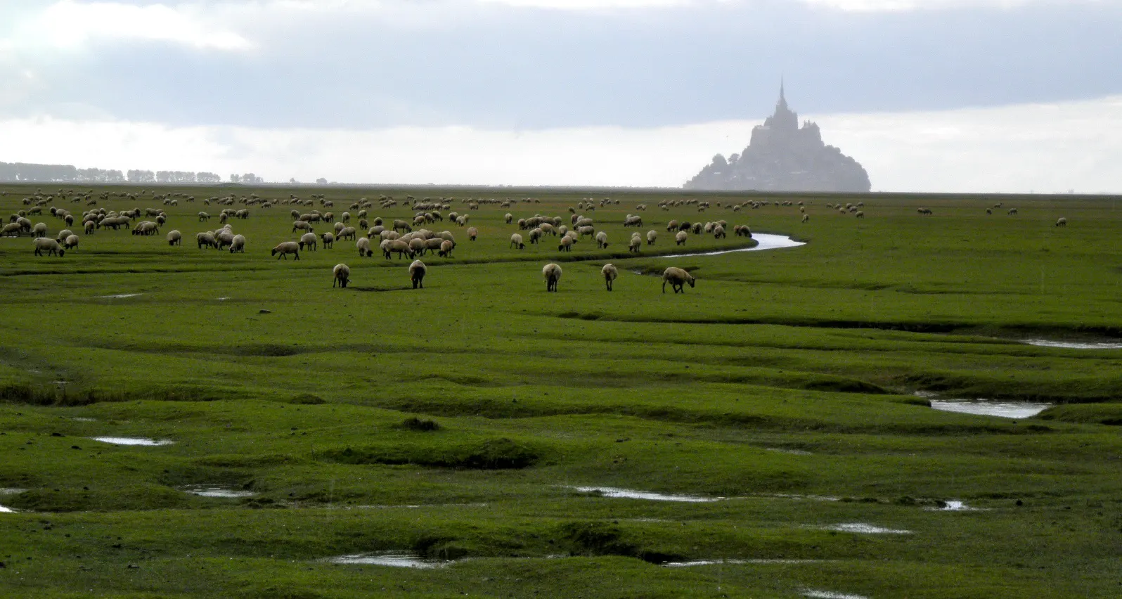 Mont-Saint-Michel lit up at dusk and reflected in the wet sands, France