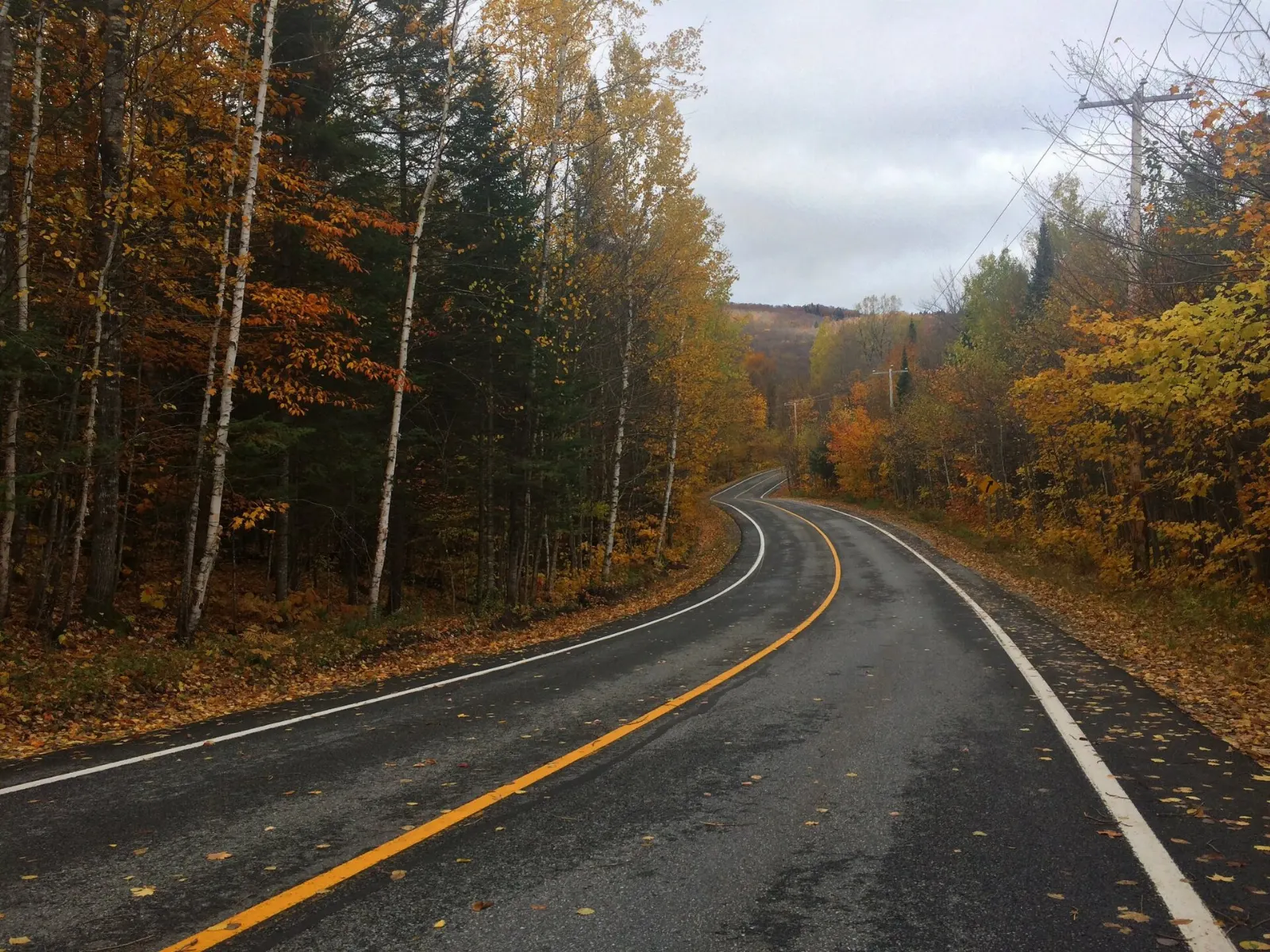Autumn foliage on the slopes of Mont Tremblant, Mont-Tremblant, Quebec