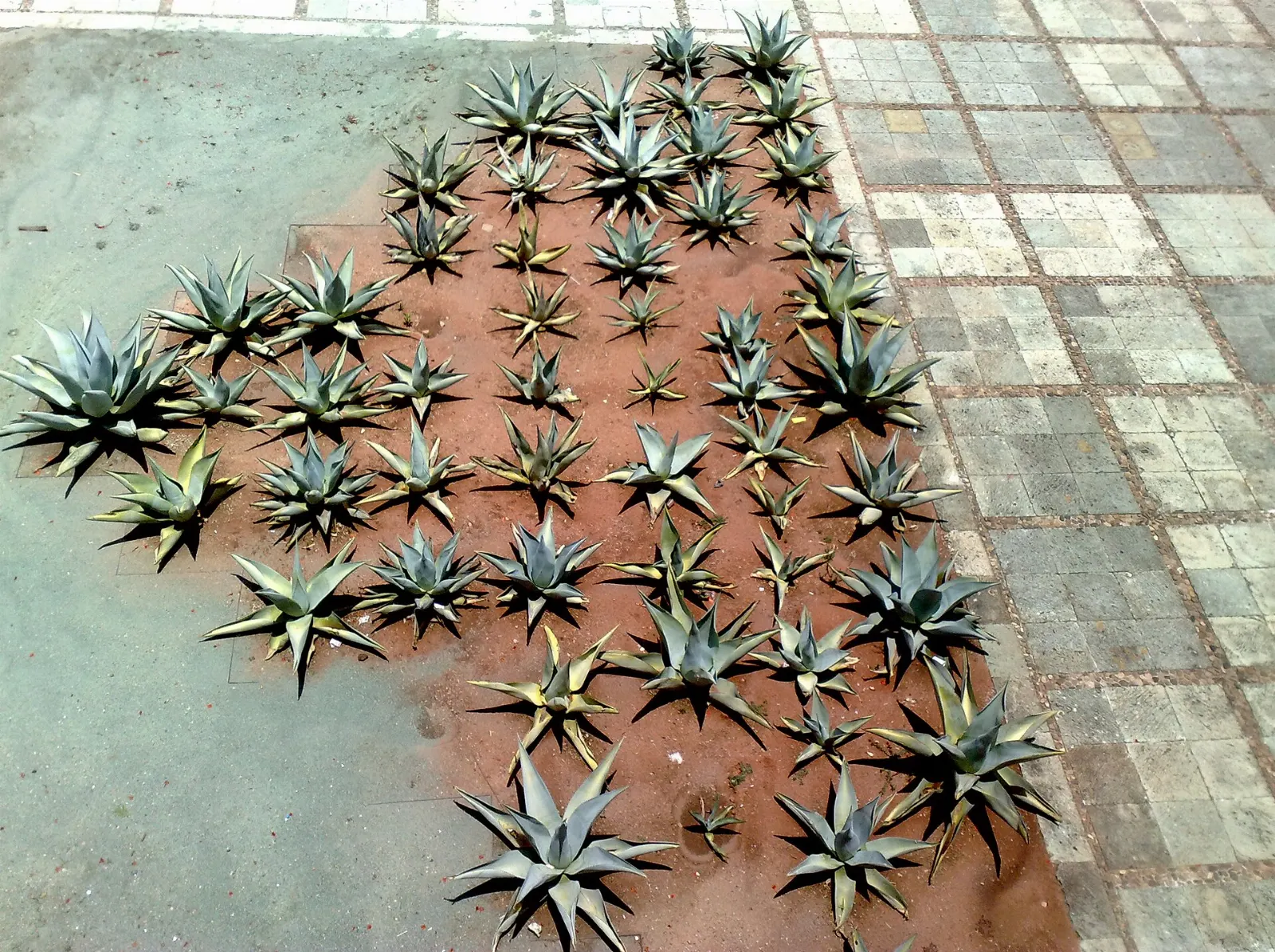 Courtyard of the Museo de las Culturas de Oaxaca, Monte Albán, Oaxaca