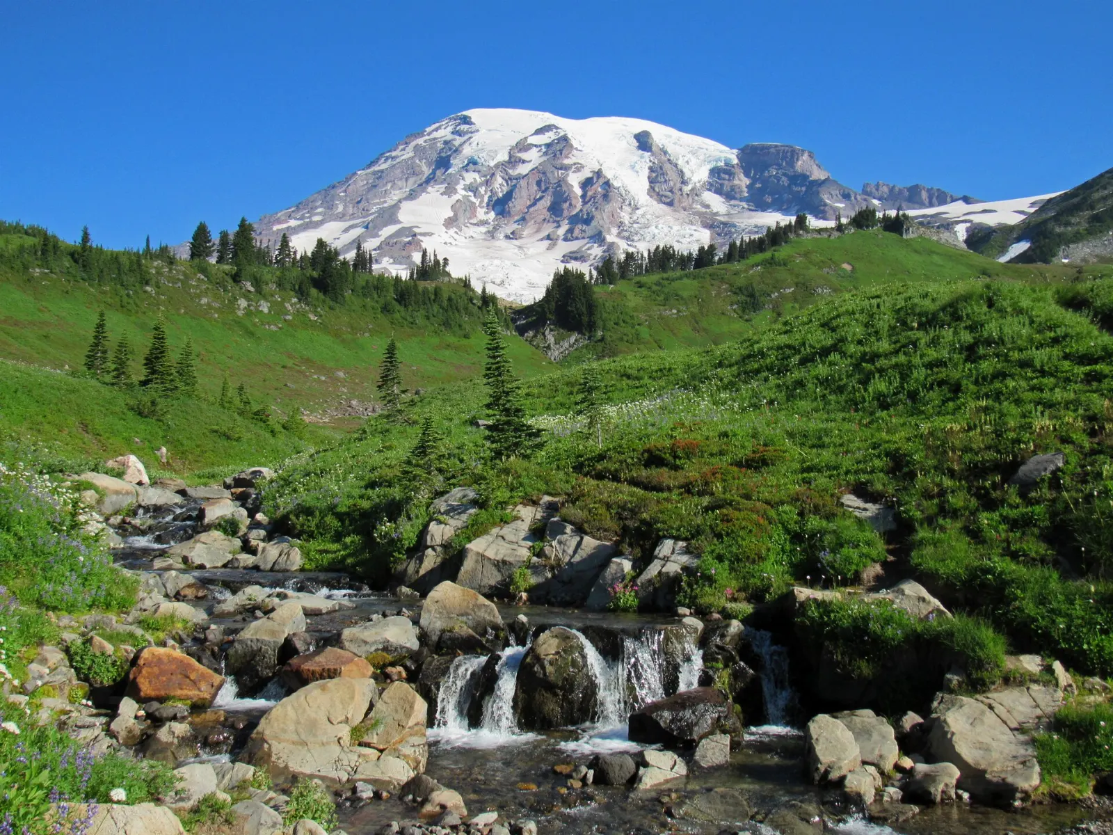 Small waterfall in a meadow with Mount Rainier rising behind it, Mount Rainier National Park, Washington