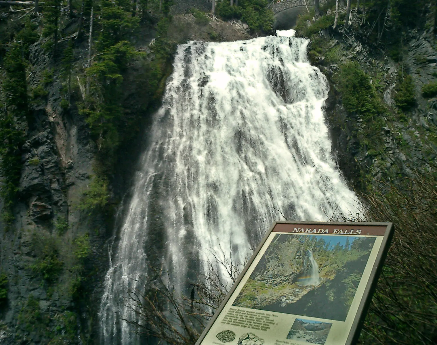 Narada Falls cascading in a wide white veil over a dark rock face, Mount Rainier National Park, Washington