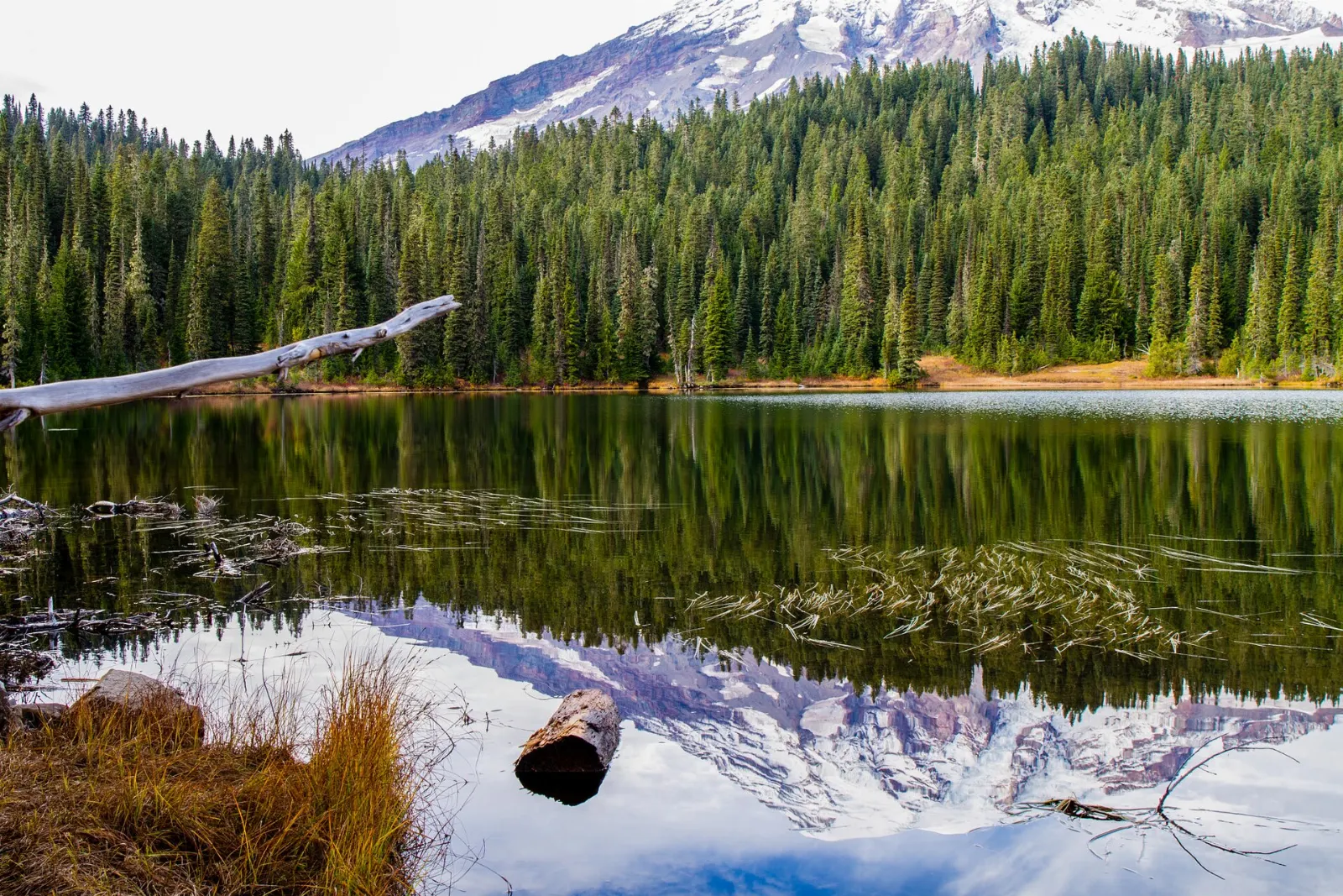 Mount Rainier mirrored in the calm surface of Reflection Lakes, Mount Rainier National Park, Washington