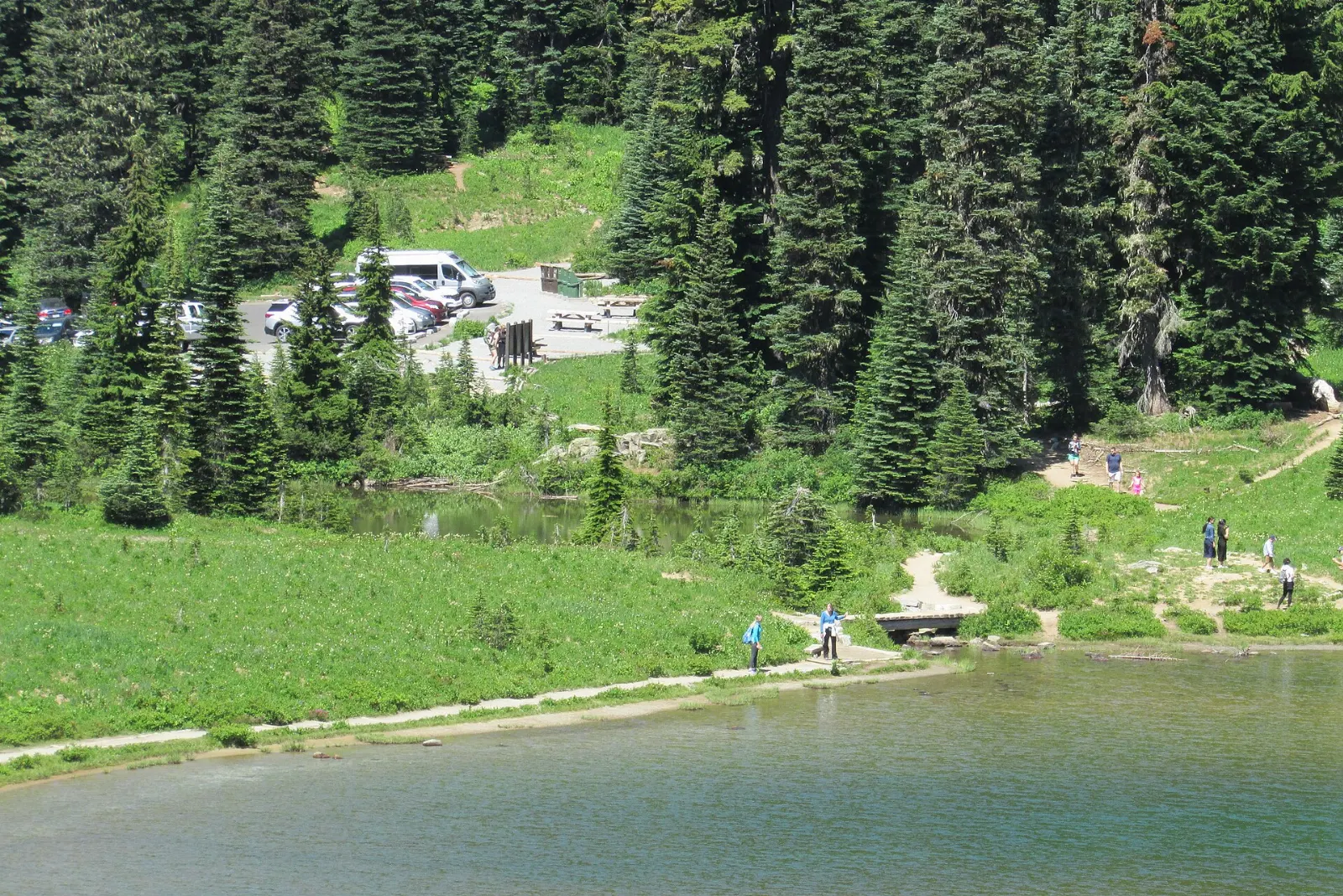 Small subalpine lake surrounded by meadows and conifers with Mount Rainier in the distance, Mount Rainier National Park, Washington