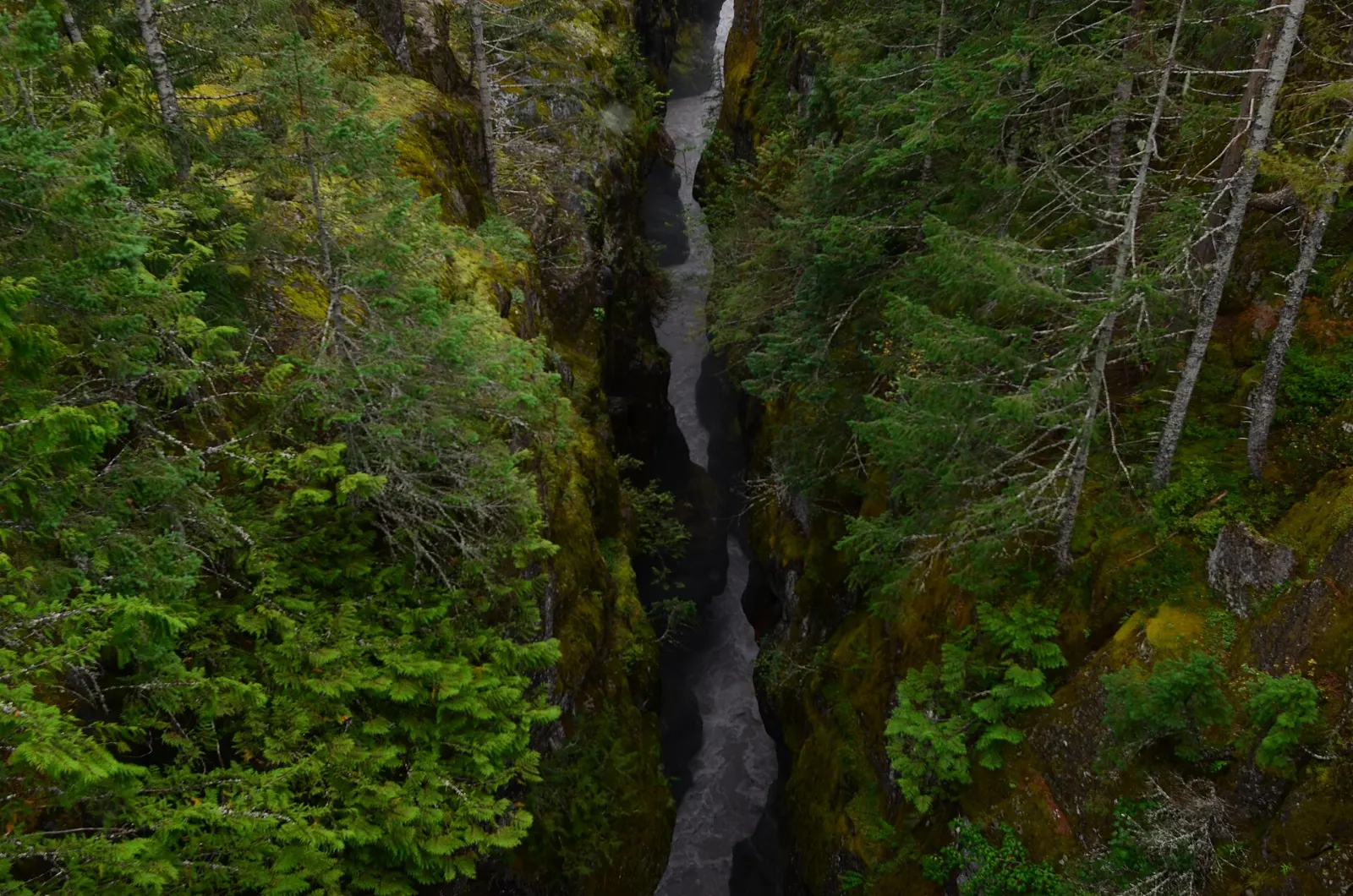 Narrow rock gorge with a river rushing far below a bridge, Mount Rainier National Park, Washington
