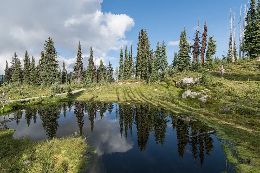 Revelstoke, Mount Revelstoke National Park, British Columbia