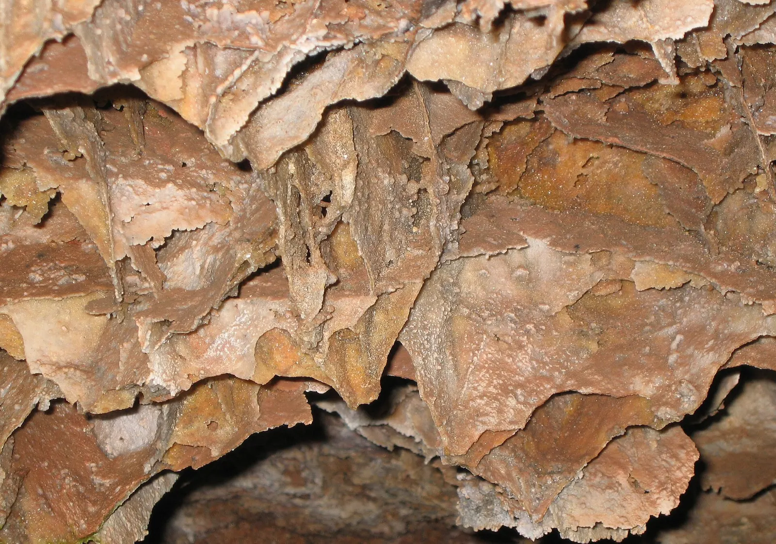 Thin honeycomb-like calcite boxwork formations on the ceiling of Wind Cave, Mount Rushmore and the Black Hills, South Dakota