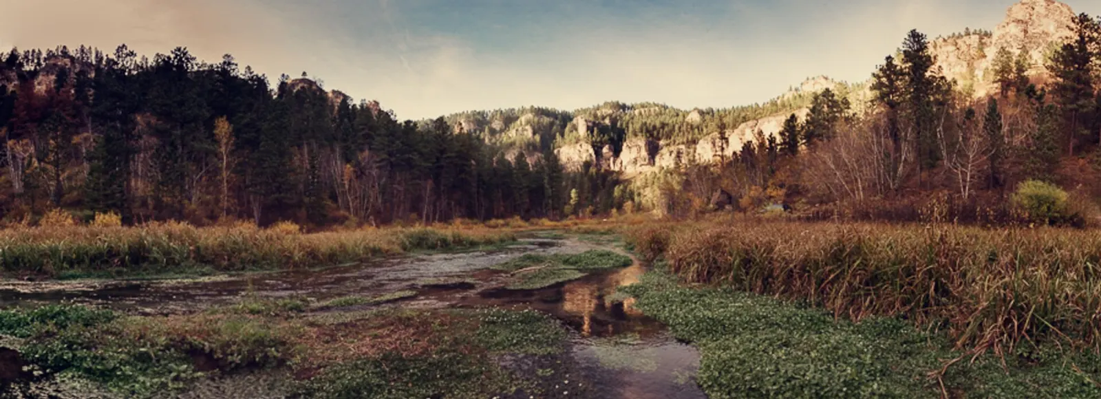 A thin waterfall spilling down a limestone cliff in Spearfish Canyon, Mount Rushmore and the Black Hills, South Dakota