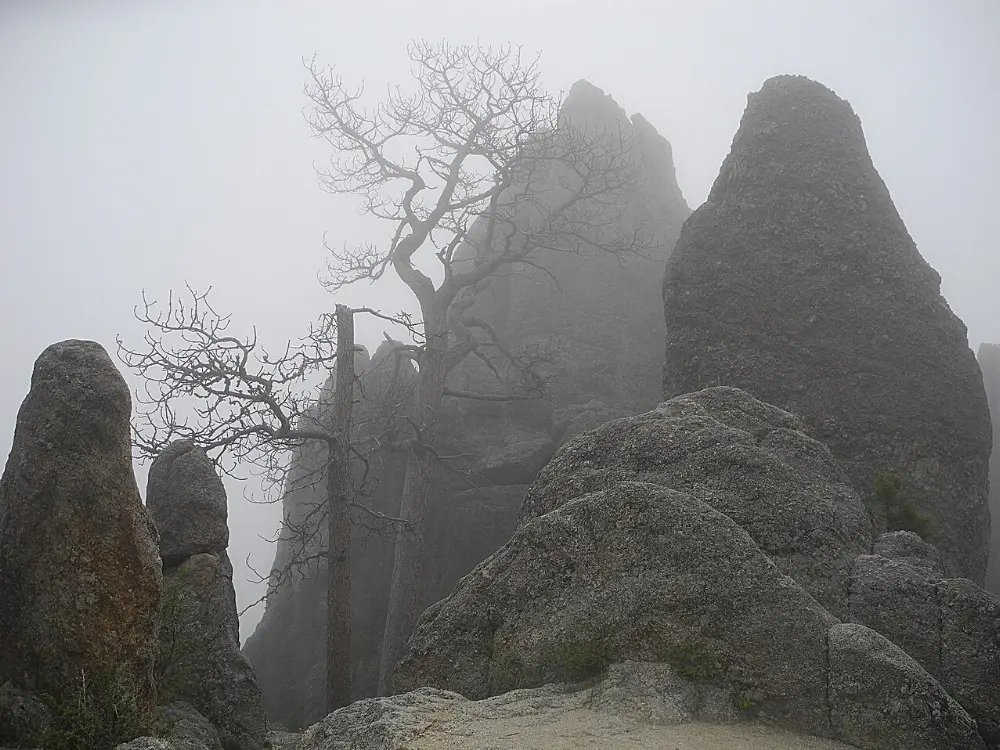 Needles Highway, Mount Rushmore and the Black Hills, South Dakota