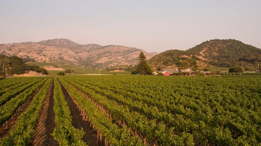 Stags Leap District, Napa Valley, California