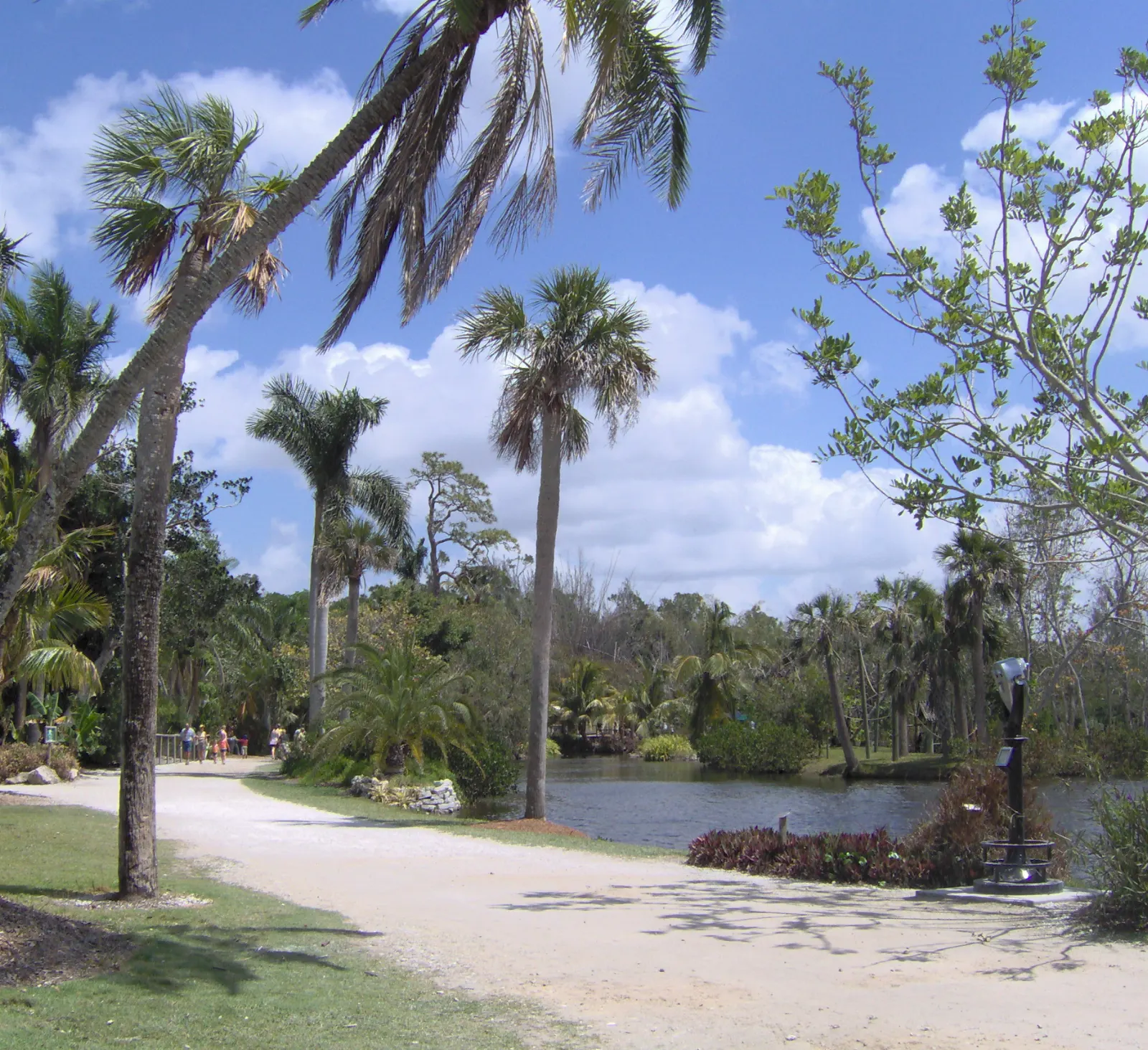 Lush walkways and animal habitats at the Naples Zoo at Caribbean Gardens, Florida