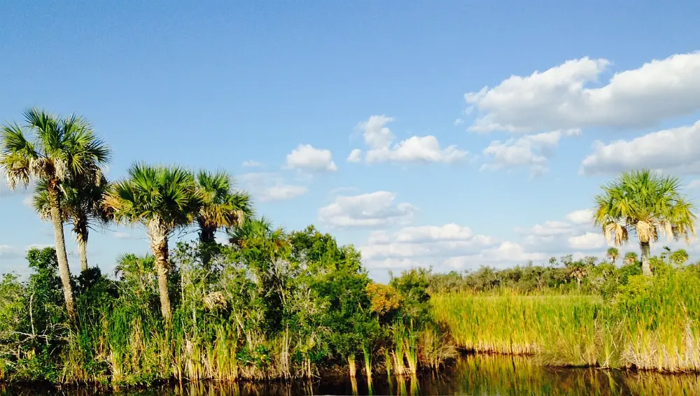 Marco Island, Naples, Florida