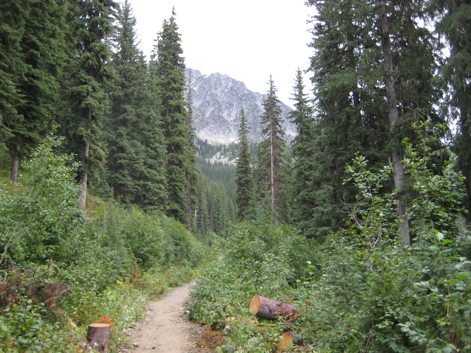 Kokanee Glacier Provincial Park, Nelson, British Columbia, Canada