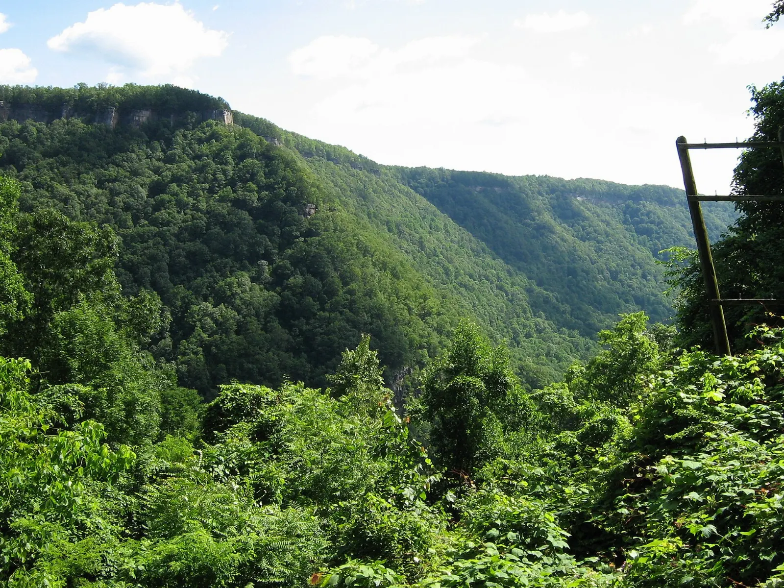 A sandstone cliff edge overlooking a curving river in a forested gorge, New River Gorge National Park, West Virginia