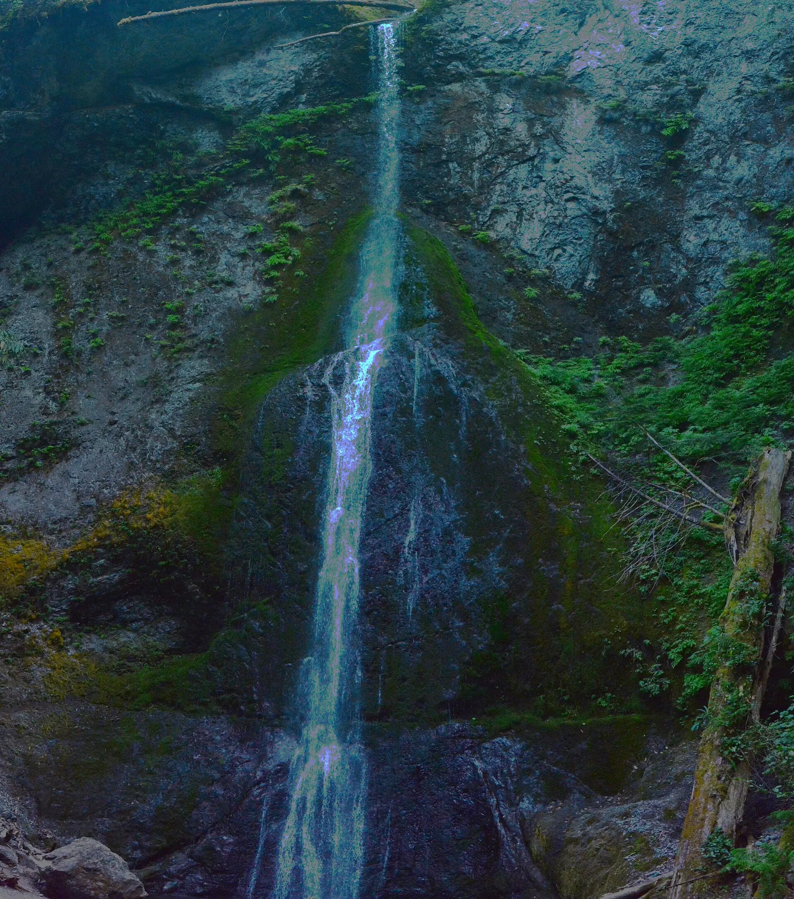 Marymere Falls dropping down a mossy rock face in a green forest, Olympic National Park, Washington