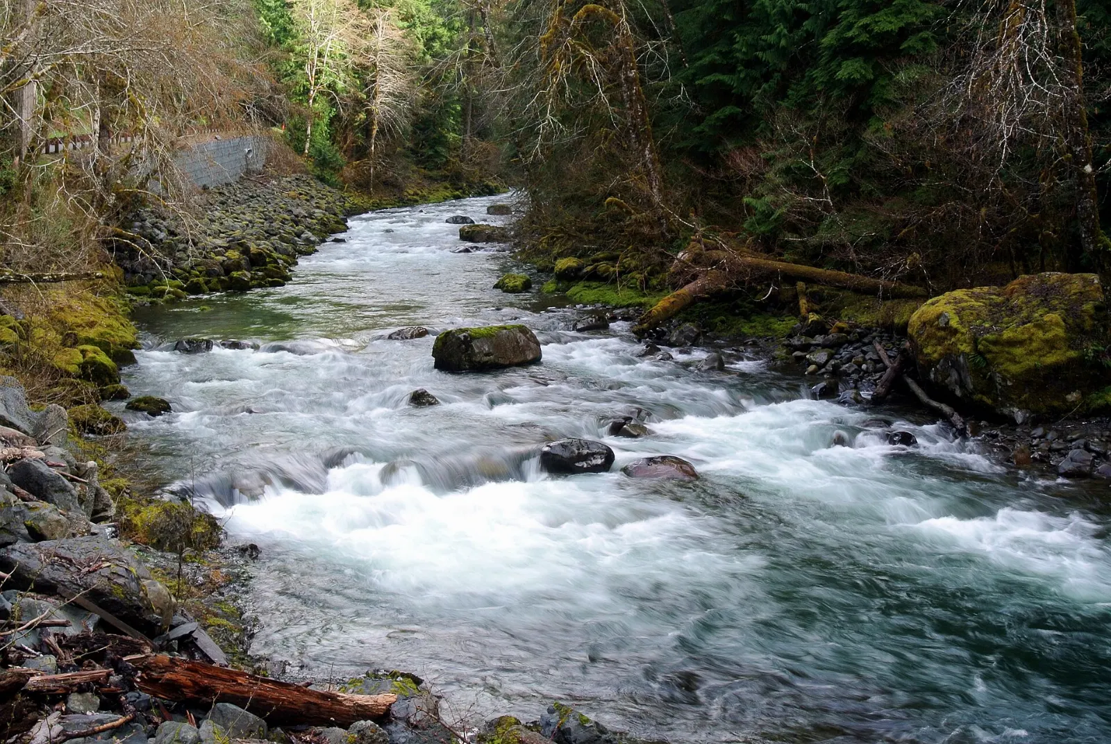 Sol Duc Falls splitting into several channels as it pours into a narrow canyon, Olympic National Park, Washington