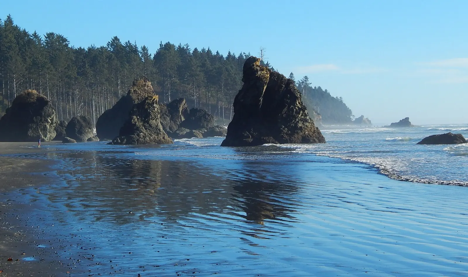 Sea stacks and driftwood on Ruby Beach along the Pacific coast of Washington, Olympic National Park, Washington