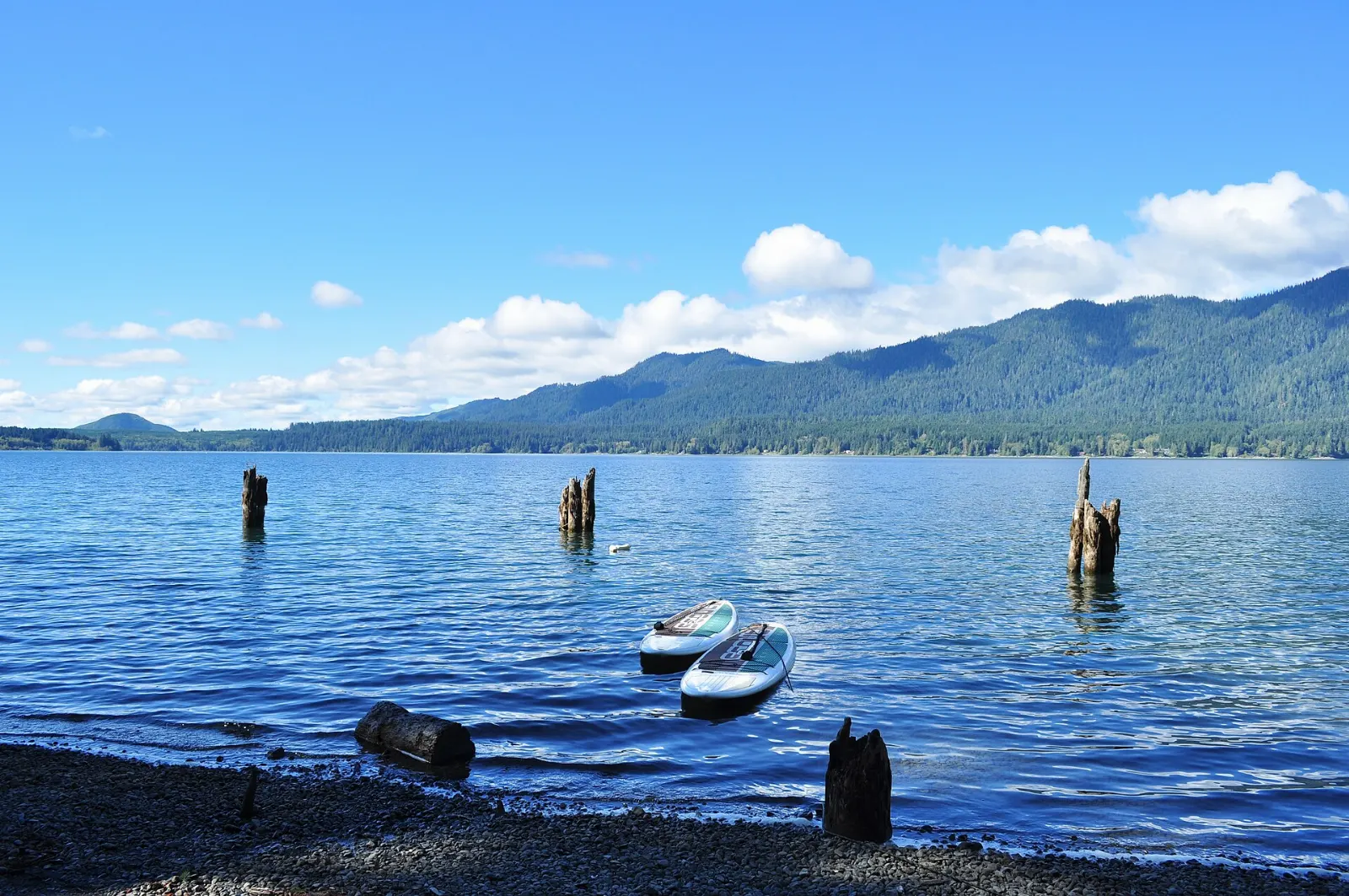 Lake Quinault surrounded by dense evergreen forest and low clouds, Olympic National Park, Washington