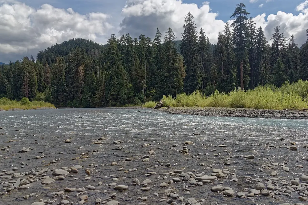 Hoh, Olympic National Park, Washington