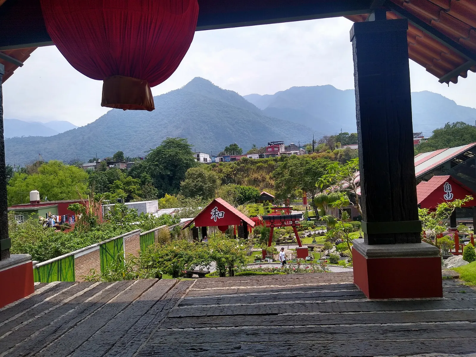Plants and paths in the botanical garden of Orizaba, Veracruz