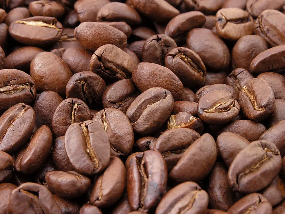 Coffee in Orizaba, Veracruz