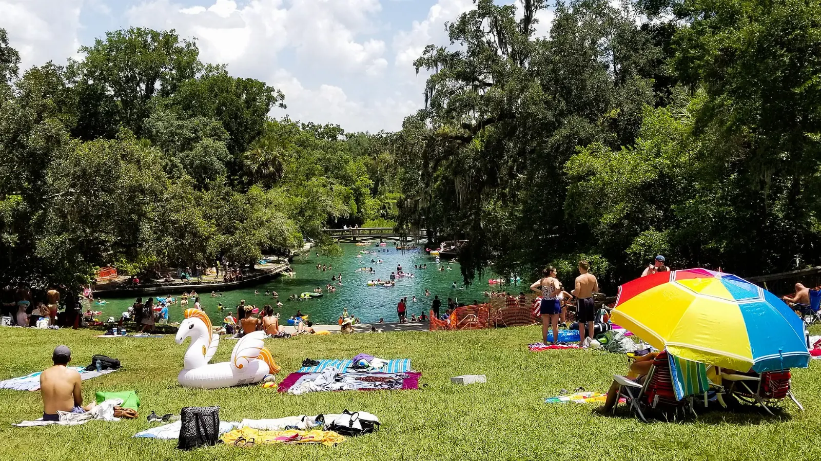 Clear blue-green water of the spring pool at Wekiwa Springs State Park, Orlando, Florida