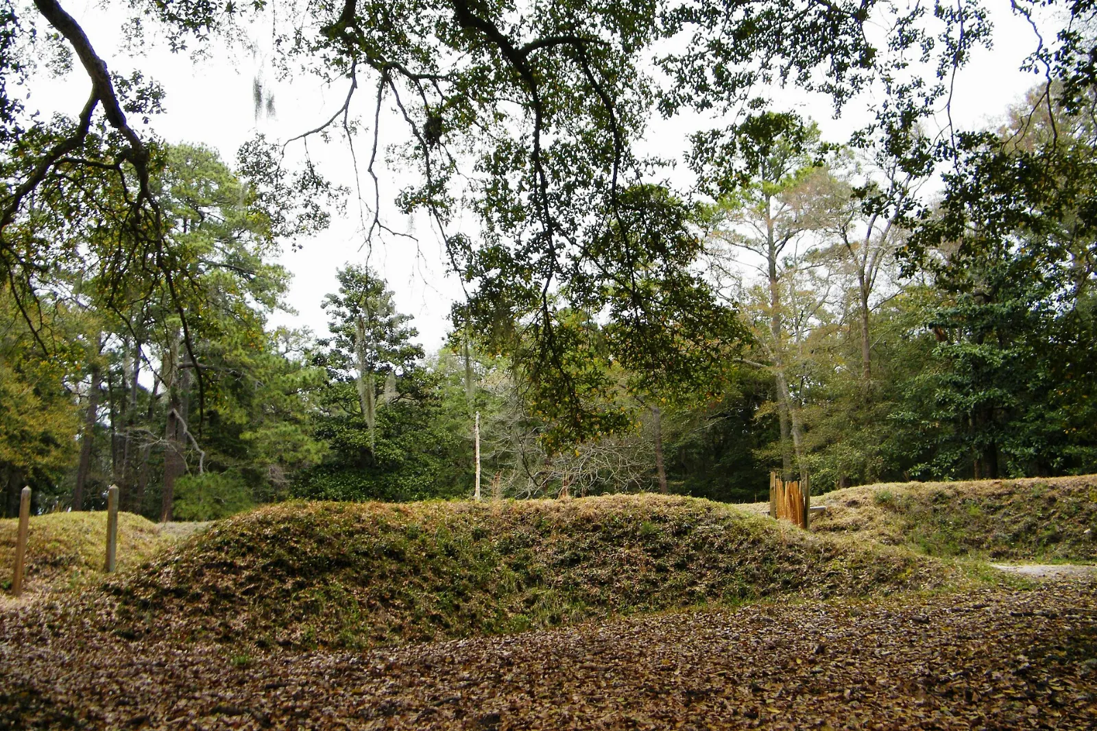 The reconstructed earthwork at Fort Raleigh National Historic Site, Outer Banks, North Carolina