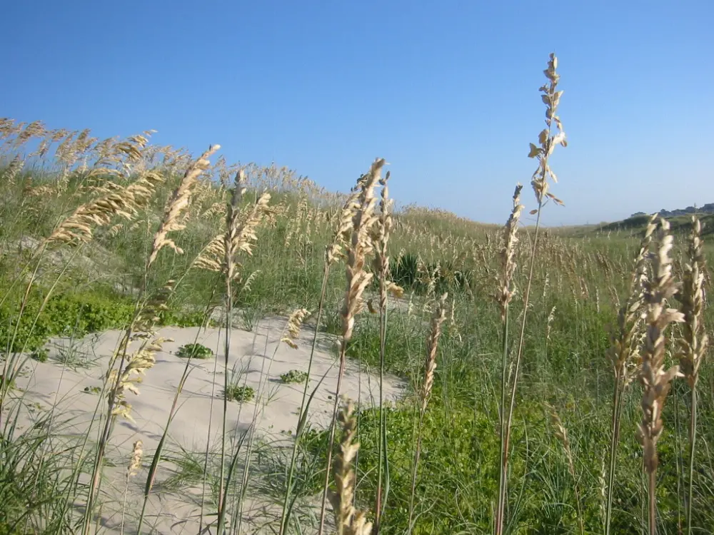 Nags Head, Outer Banks, North Carolina