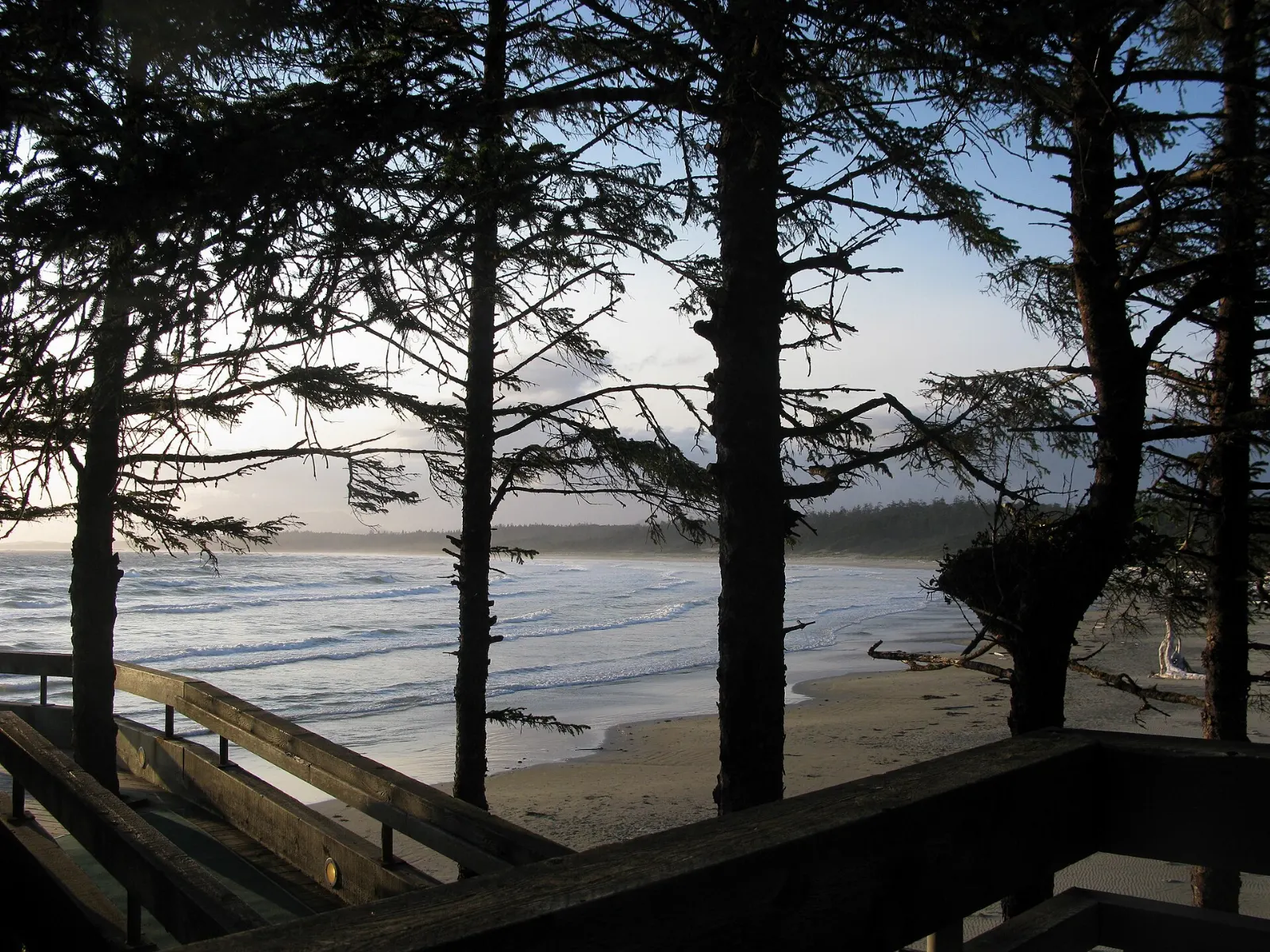Wickaninnish Beach and the surrounding forest, Pacific Rim National Park Reserve, British Columbia