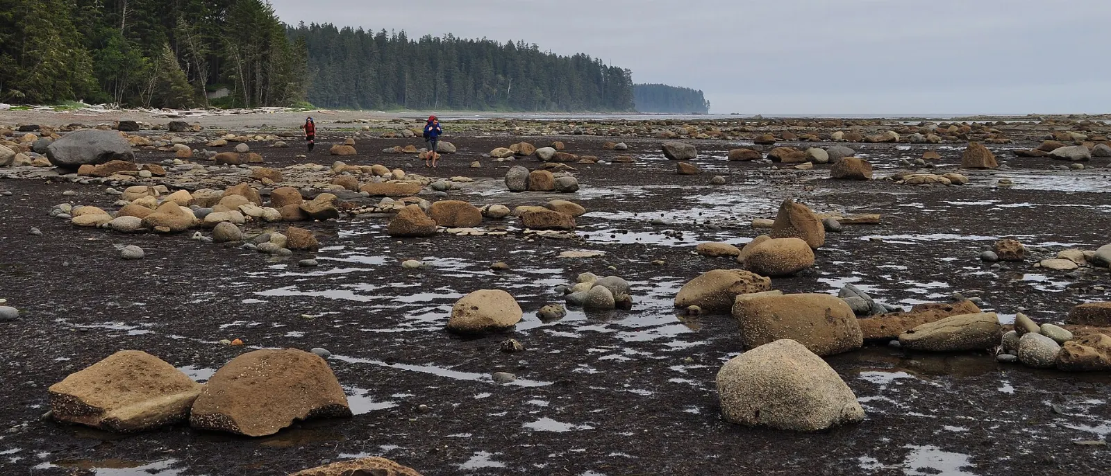 Hiker on the West Coast Trail along the coast, Pacific Rim National Park Reserve, British Columbia